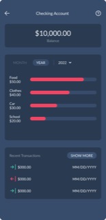 Kidough checking account view